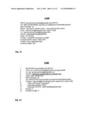 Technique for providing services in a service provisioning network diagram and image