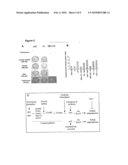 MUTANT HISTIDINE KINASE THAT CONFERS SPONTANEOUS NODULATION IN PLANTS diagram and image