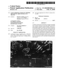 Nano-composite energetic powders prepared by arrested reactive milling diagram and image