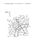 EARTH BORING CUTTER EMPLOYING HELICAL TEETH diagram and image