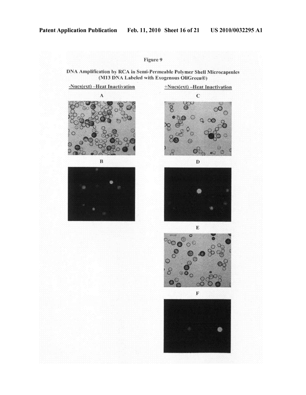 Continuous film electrophoresis - diagram, schematic, and image 17