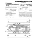 THROUGH WAFER VIA AND METHOD OF MAKING SAME diagram and image