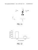 MEASURING AGGLUTINATION PARAMETERS diagram and image