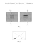 APPARATUS AND METHOD FOR PERFORMING AN ION CONCENTRATION ANALYSIS IN LIQUID CRYSTAL PANEL diagram and image