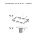 INPUT DEVICE WITH DISPLAY FUNCTION diagram and image