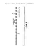 CONTINUOUS INKJET PRINTING SYSTEM AND METHOD FOR PRODUCING SELECTIVE DEFLECTION OF DROPLETS FORMED FROM TWO DIFFERENT BREAK OFF LENGTHS diagram and image