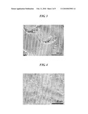ELECTRODE FOR SUPERCAPACITOR HAVING MANGANESE OXIDE-CONDUCTIVE METAL OXIDE COMPOSITE LAYER, FABRICATION METHOD THEREOF, AND SUPERCAPACITOR COMPRISING SAME diagram and image