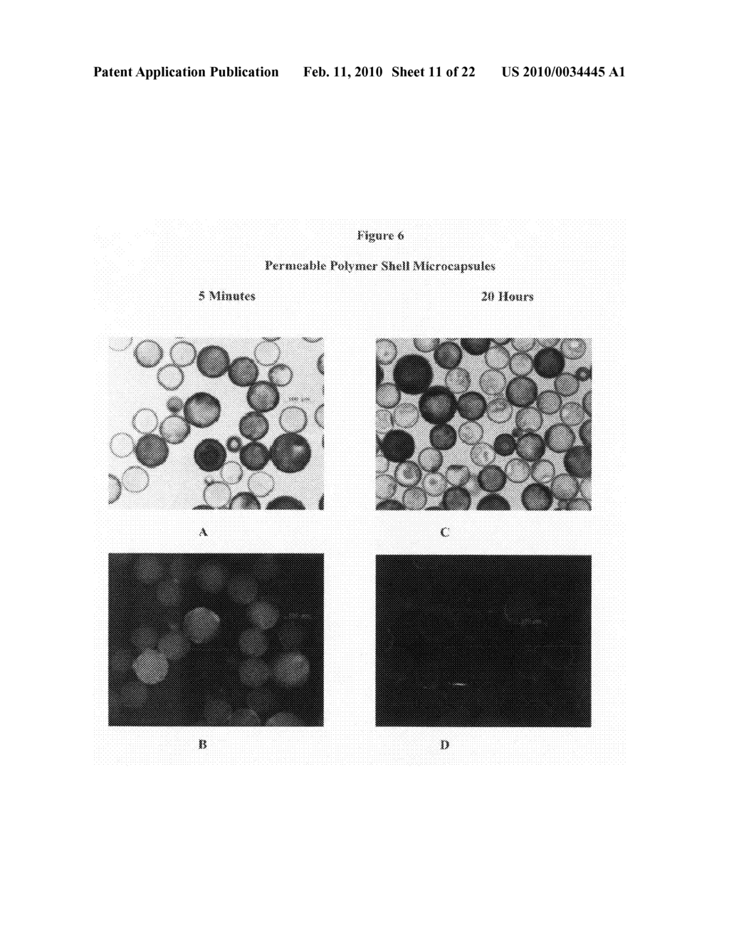 Continuous imaging of nucleic acids - diagram, schematic, and image 12