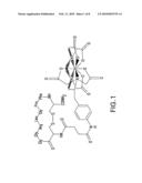 Fungus-Specific Imaging Agents diagram and image