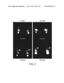 Fungus-Specific Imaging Agents diagram and image