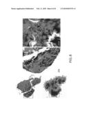 Fungus-Specific Imaging Agents diagram and image