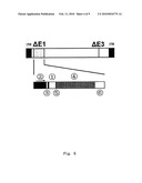 RECOMBINANT ADENOVIRUS COMPRISING RECOMBINANT khp53 GENE AND THE PREPARATION METHOD AND USES THEREOF diagram and image