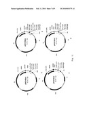 RECOMBINANT ADENOVIRUS COMPRISING RECOMBINANT khp53 GENE AND THE PREPARATION METHOD AND USES THEREOF diagram and image