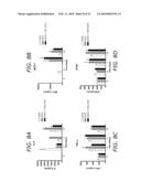 ENDOTHELIAL PROGENITOR CELL COMPOSITIONS AND NEOVASCULARIZATION diagram and image