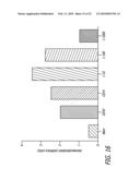 ENDOTHELIAL PROGENITOR CELL COMPOSITIONS AND NEOVASCULARIZATION diagram and image