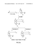 COMPOSITIONS AND METHODS FOR BINDING LYSOPHOSPHATIDIC ACID diagram and image