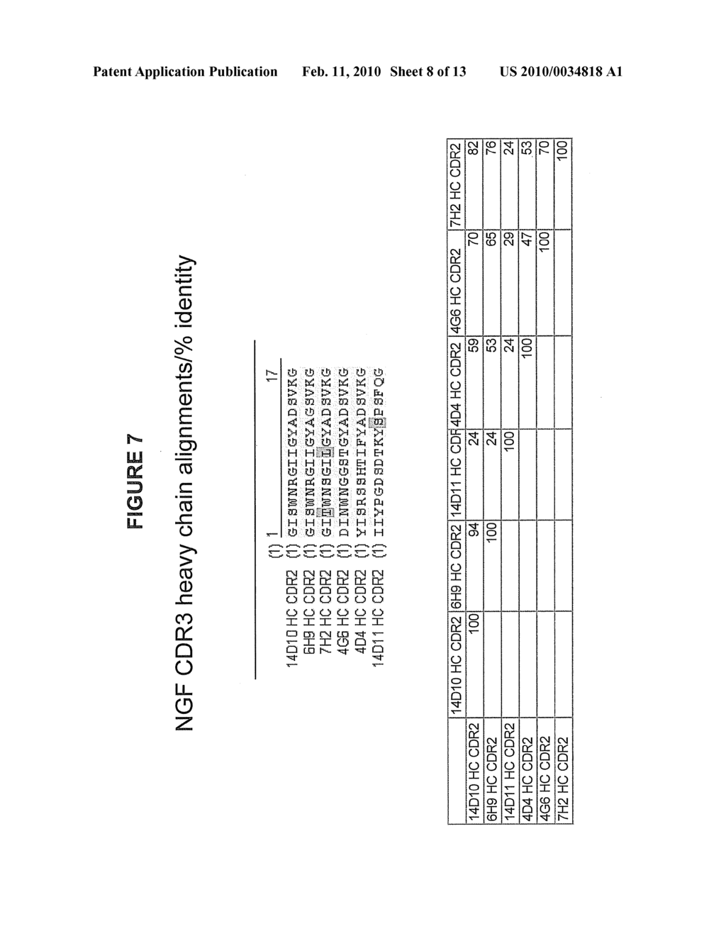 Human Anti-NGF Neutralizing Antibodies as Selective NGF Pathway Inhibitors - diagram, schematic, and image 09