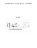 BINDING DOMAIN-IMMUNOGLOBULIN FUSION PROTEINS diagram and image