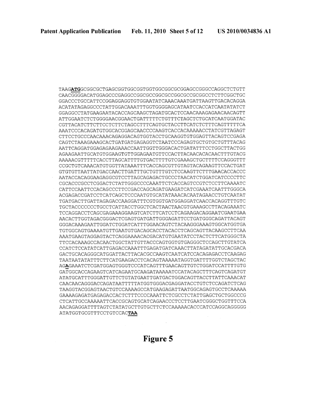 COMPOSITIONS AND METHODS FOR THE DIAGNOSIS AND ALLEVIATION OF TUMOR - diagram, schematic, and image 06