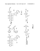 ANTHRACYCLINE DERIVATIVE CONJUGATES, PROCESS FOR THEIR PREPARATION AND THEIR USE AS ANTITUMOR COMPOUNDS diagram and image