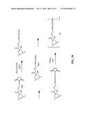 ANTHRACYCLINE DERIVATIVE CONJUGATES, PROCESS FOR THEIR PREPARATION AND THEIR USE AS ANTITUMOR COMPOUNDS diagram and image