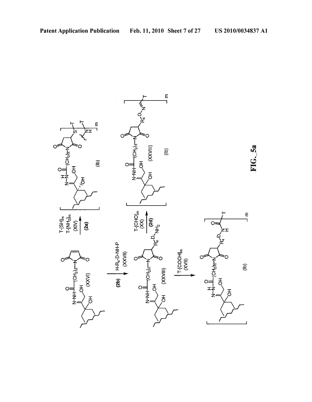 ANTHRACYCLINE DERIVATIVE CONJUGATES, PROCESS FOR THEIR PREPARATION AND THEIR USE AS ANTITUMOR COMPOUNDS - diagram, schematic, and image 08