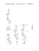 ANTHRACYCLINE DERIVATIVE CONJUGATES, PROCESS FOR THEIR PREPARATION AND THEIR USE AS ANTITUMOR COMPOUNDS diagram and image