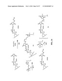 ANTHRACYCLINE DERIVATIVE CONJUGATES, PROCESS FOR THEIR PREPARATION AND THEIR USE AS ANTITUMOR COMPOUNDS diagram and image