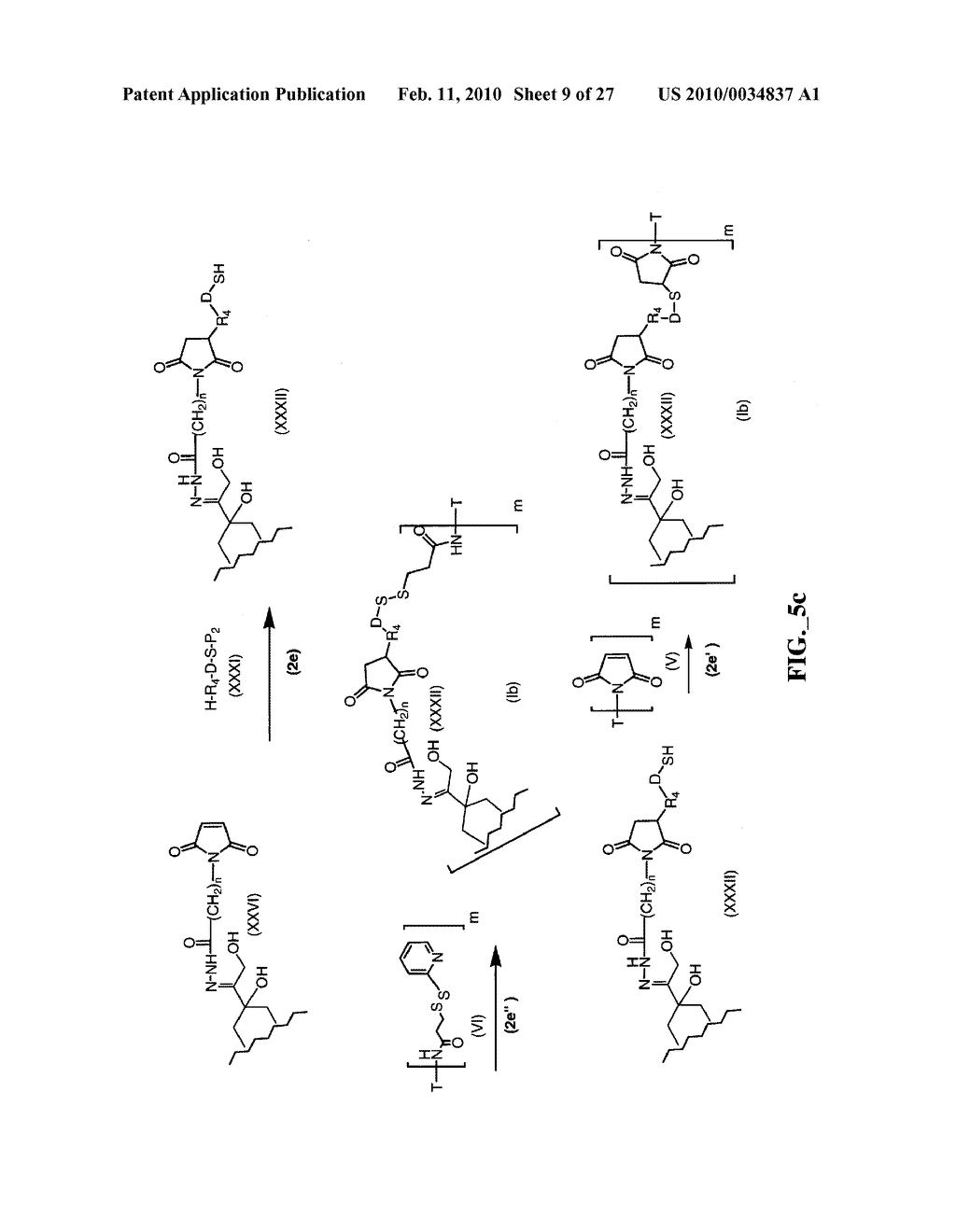 ANTHRACYCLINE DERIVATIVE CONJUGATES, PROCESS FOR THEIR PREPARATION AND THEIR USE AS ANTITUMOR COMPOUNDS - diagram, schematic, and image 10