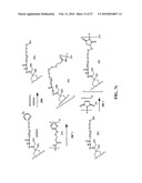 ANTHRACYCLINE DERIVATIVE CONJUGATES, PROCESS FOR THEIR PREPARATION AND THEIR USE AS ANTITUMOR COMPOUNDS diagram and image