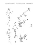 ANTHRACYCLINE DERIVATIVE CONJUGATES, PROCESS FOR THEIR PREPARATION AND THEIR USE AS ANTITUMOR COMPOUNDS diagram and image