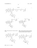 ANTHRACYCLINE DERIVATIVE CONJUGATES, PROCESS FOR THEIR PREPARATION AND THEIR USE AS ANTITUMOR COMPOUNDS diagram and image