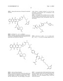 ANTHRACYCLINE DERIVATIVE CONJUGATES, PROCESS FOR THEIR PREPARATION AND THEIR USE AS ANTITUMOR COMPOUNDS diagram and image