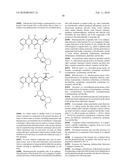 ANTHRACYCLINE DERIVATIVE CONJUGATES, PROCESS FOR THEIR PREPARATION AND THEIR USE AS ANTITUMOR COMPOUNDS diagram and image