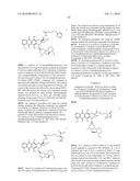 ANTHRACYCLINE DERIVATIVE CONJUGATES, PROCESS FOR THEIR PREPARATION AND THEIR USE AS ANTITUMOR COMPOUNDS diagram and image