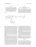 ANTHRACYCLINE DERIVATIVE CONJUGATES, PROCESS FOR THEIR PREPARATION AND THEIR USE AS ANTITUMOR COMPOUNDS diagram and image