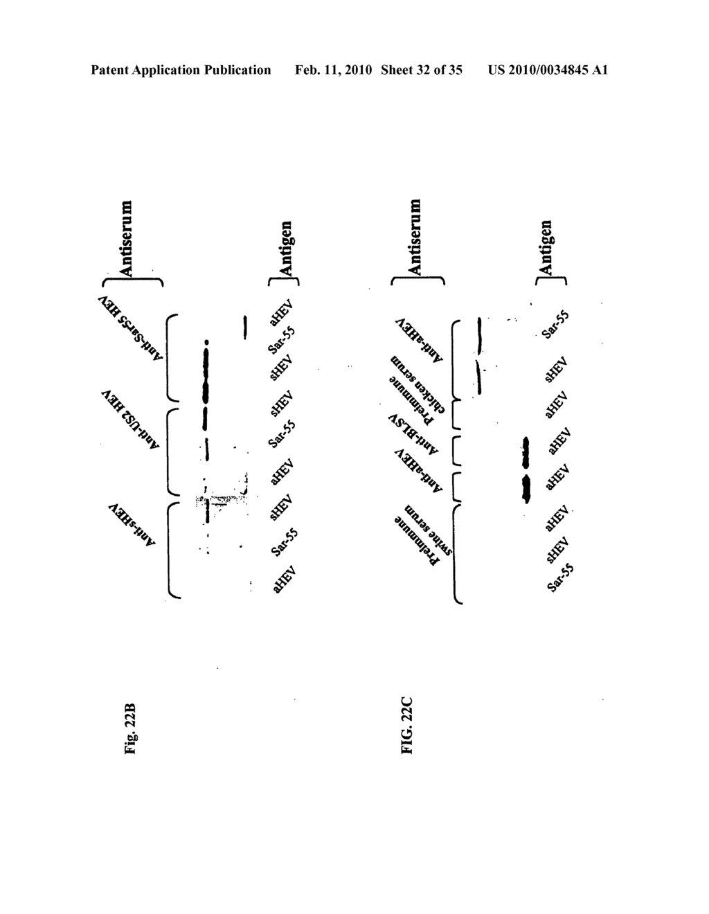 AVIAN HEPATITIS E VIRUS, VACCINES AND METHODS OF PROTECTING AGAINST AVIAN HEPATITIS-SPLENOMEGALY SYNDROME AND MAMMALIAN HEPATITIS E - diagram, schematic, and image 33