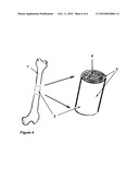 STEM CELL CAPTURE AND IMMOBILIZATION COATINGS FOR MEDICAL DEVICES AND IMPLANTS diagram and image