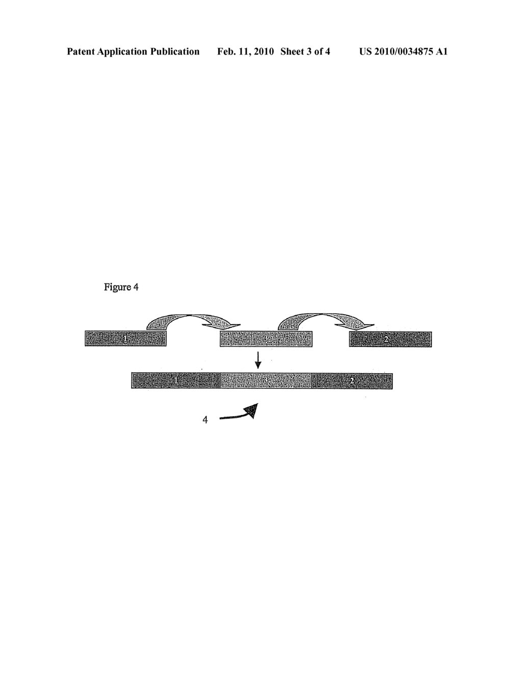 IMMUNOGENIC COMPOSITIONS AND METHODS OF USE - diagram, schematic, and image 04