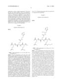 Polyglutamic Acids Functionalised by Histidine Derivatives and Hydrophobic Groups and the Uses Thereof, in Particular for Therapeutic Purposes diagram and image