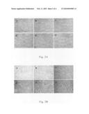 Pharmaceutical composition for treating rotavirus and/or respiratory syncytial virus infection and method for preparing the same diagram and image