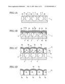 HOLLOW STRUCTURE FORMING SUBSTRATE, METHOD OF PRODUCING HOLLOW STRUCTURE FORMING SUBSTRATE, AND METHOD OF PRODUCING HOLLOW STRUCTURE USING HOLLOW STRUCTURE FORMING SUBSTRATE diagram and image