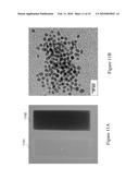 METAL AND METAL OXIDE NANOPARTICLE-EMBEDDED COMPOSITES diagram and image