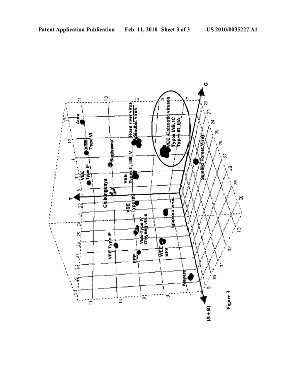 Compositions for use in identification of alphaviruses - diagram, schematic, and image 04