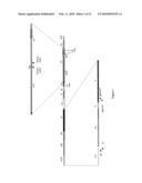 METHODS, PLASMID VECTORS AND PRIMERS FOR ASSESSING HIV VIRAL FITNESS diagram and image