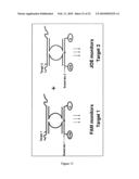 METHODS, PLASMID VECTORS AND PRIMERS FOR ASSESSING HIV VIRAL FITNESS diagram and image