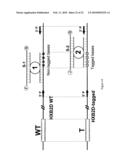 METHODS, PLASMID VECTORS AND PRIMERS FOR ASSESSING HIV VIRAL FITNESS diagram and image