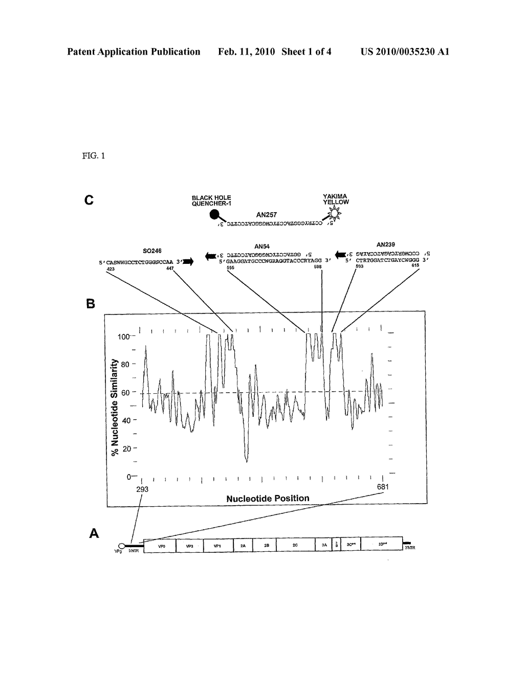 METHODS AND AGENTS FOR DETECTING PARECHOVIRUS - diagram, schematic, and image 02