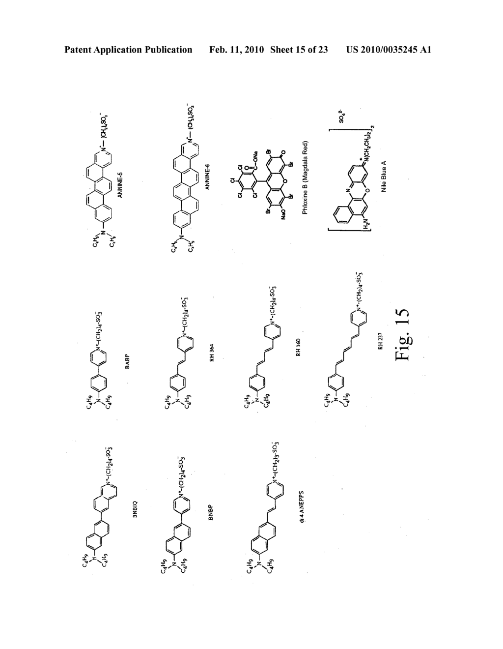 Analyte test system using non-enzymatic analyte recognition elements - diagram, schematic, and image 16