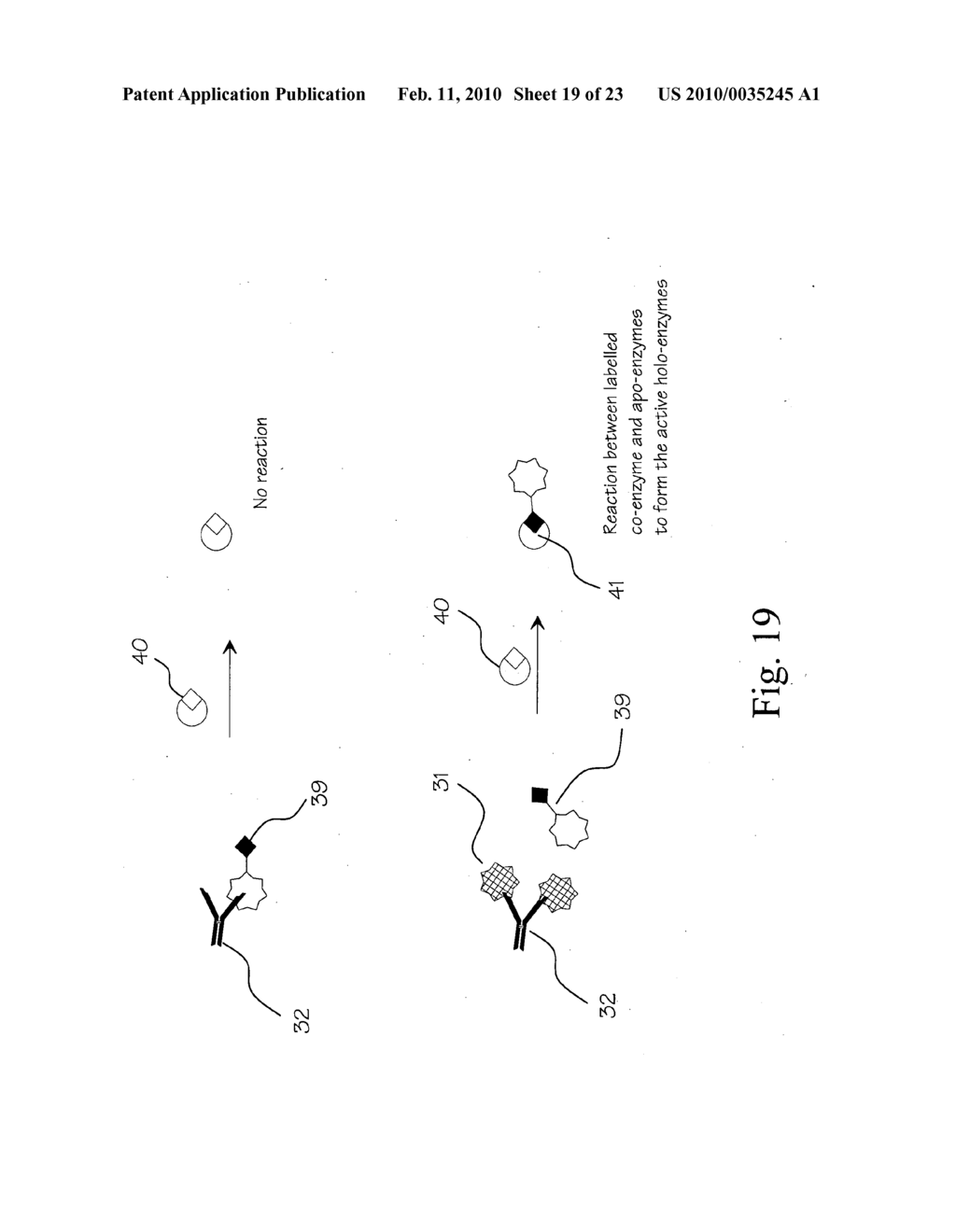 Analyte test system using non-enzymatic analyte recognition elements - diagram, schematic, and image 20